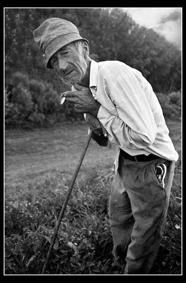 Godine paora Vladimira - 2003. god.