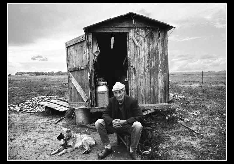 U Galadu I - 2003. god.