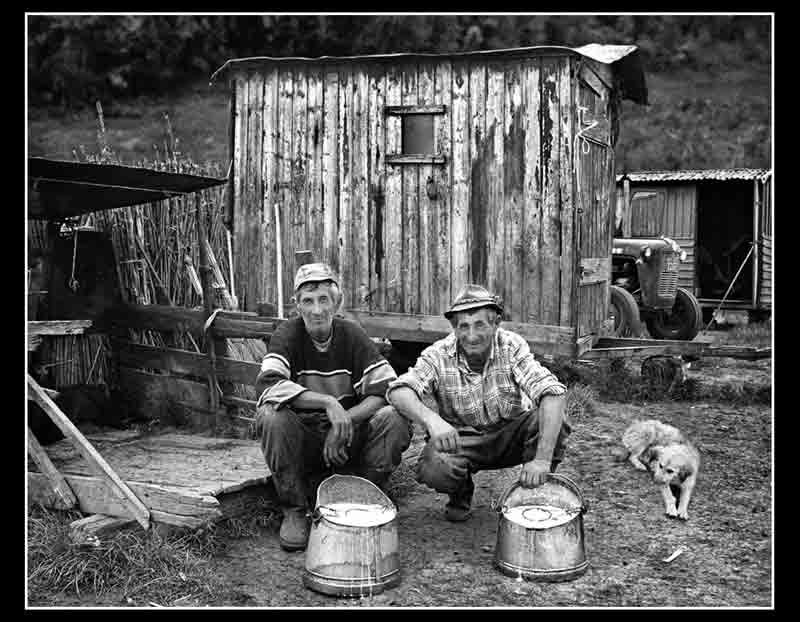 Mlekari I - 2004. god.