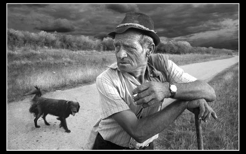 Uniko stado II - 2006. god.