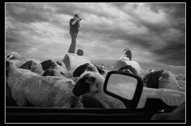 Banatski safari I - 2006. god.