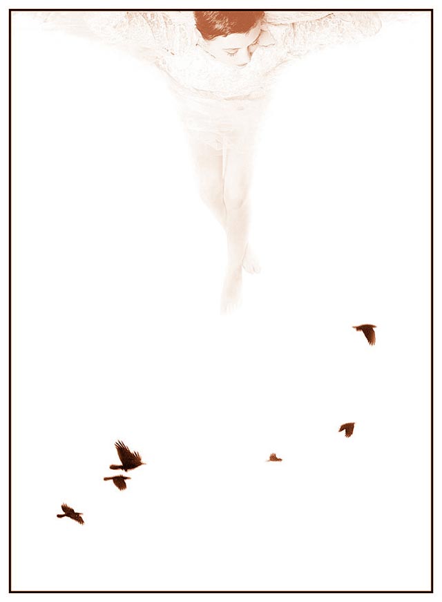 Kao ptica let - . god.