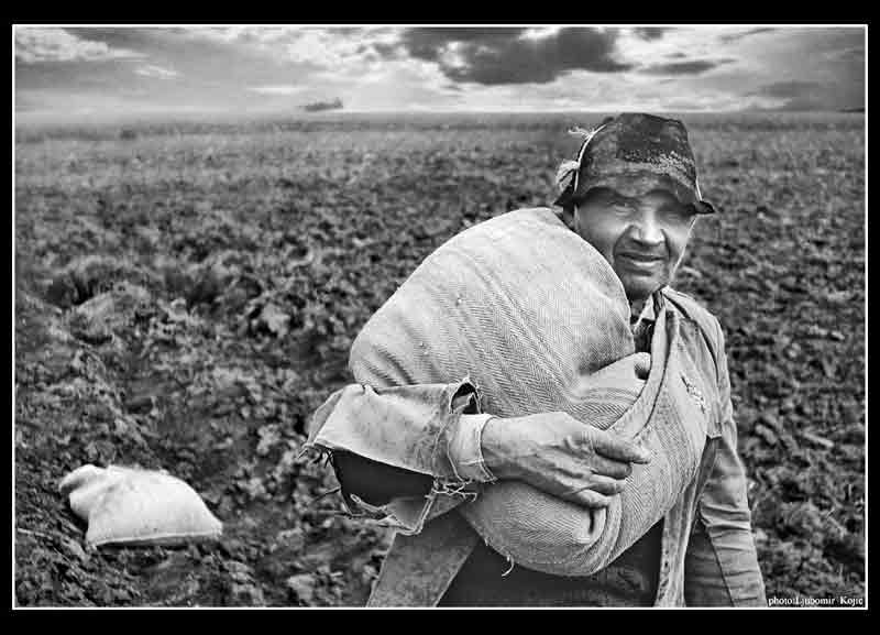 Popov - Klopa - 1980. god.