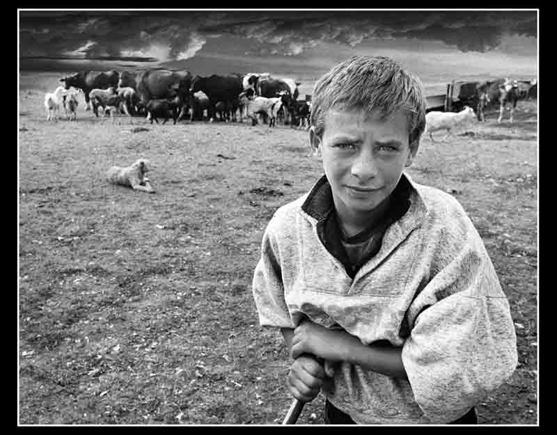 Maarac Predrag - Macan - 2002. god.