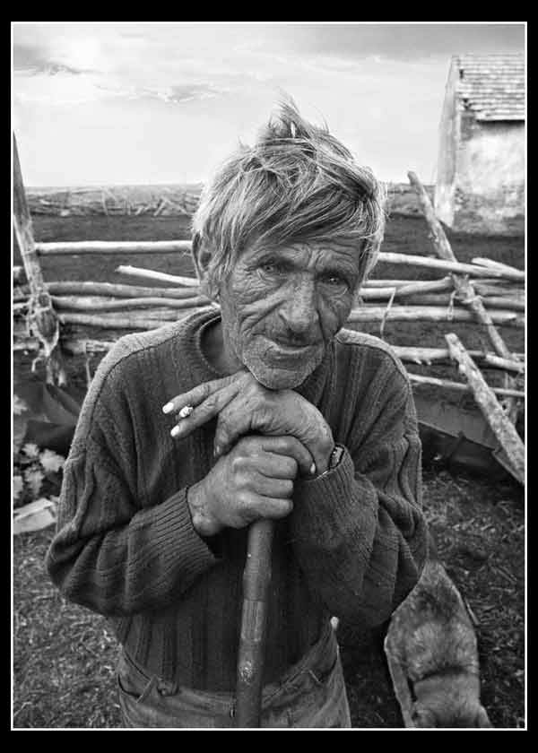 Minja Beli - Jaroki - 2003. god.