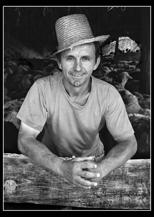 arko Terzin - Mera - 2005. god.