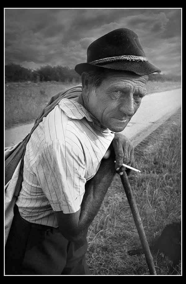 Veselin Grki - 2006. god.