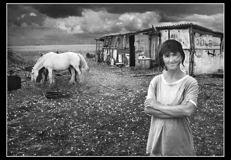 Brigita Mili - 2006. god.