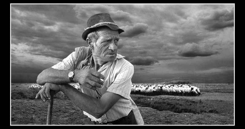 Veselin Grki - 2006. god.