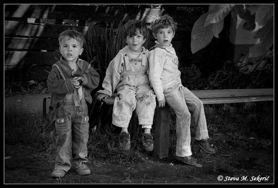 Tri musketara .... god.