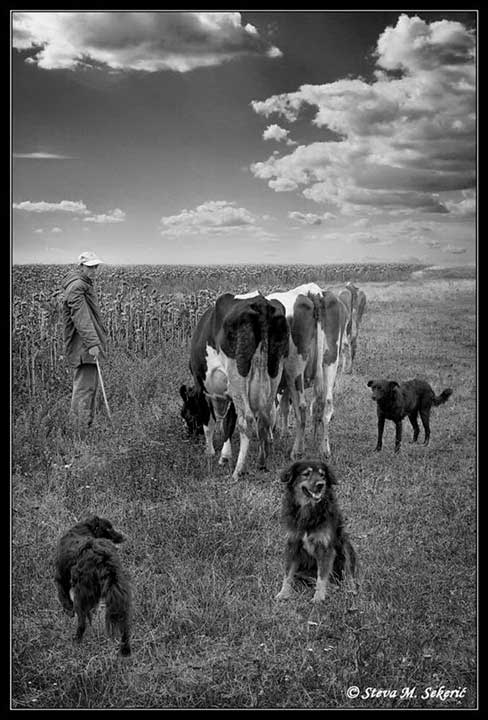 Tri kere i .... god.