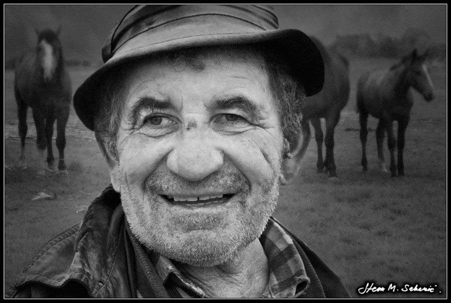 Nikola - 8464 .... god.