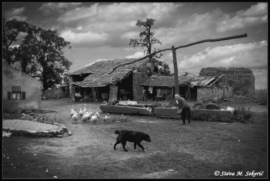 Buri, buri, buri .... god.