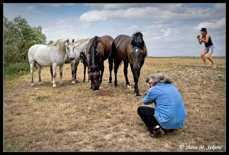 Ni korak dalje .... god.