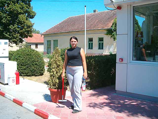 Maturski o kaštilju...