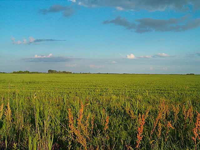 Dobo dana - podna...