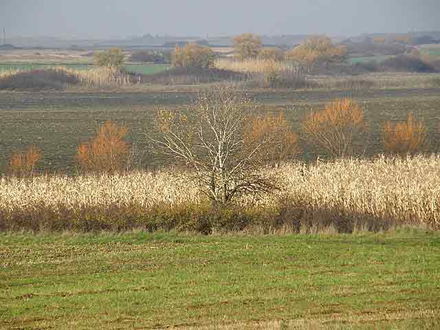 Slike izAtara - Rit...