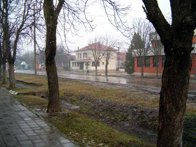 Baba Marta se neDa...