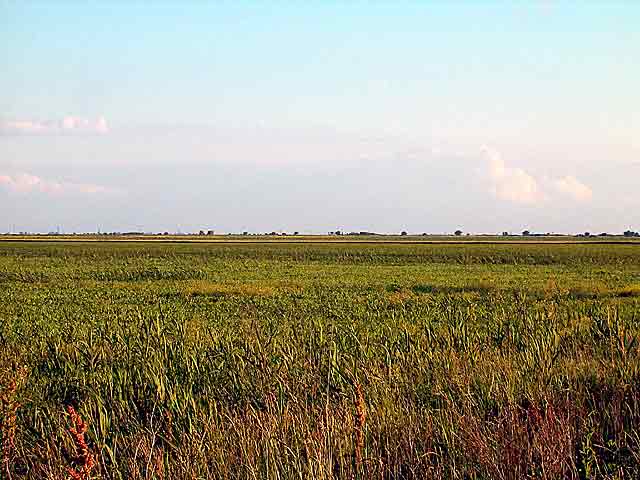 Severni Banat u proleće...