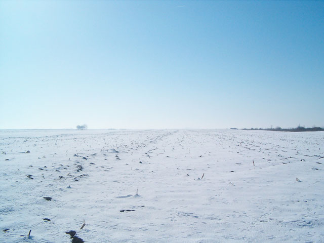 Ravan ko Severni Banat...