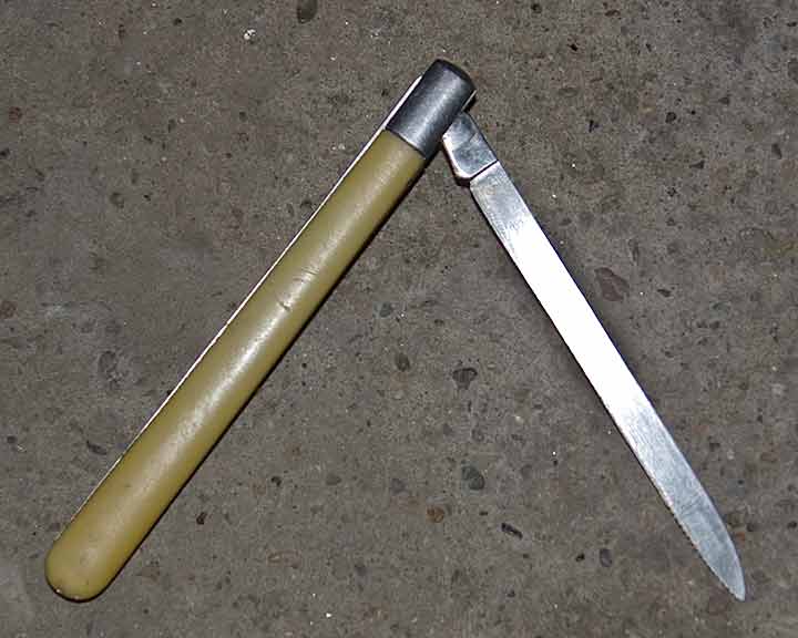 Kad i kako Lala bode sas brisom ?