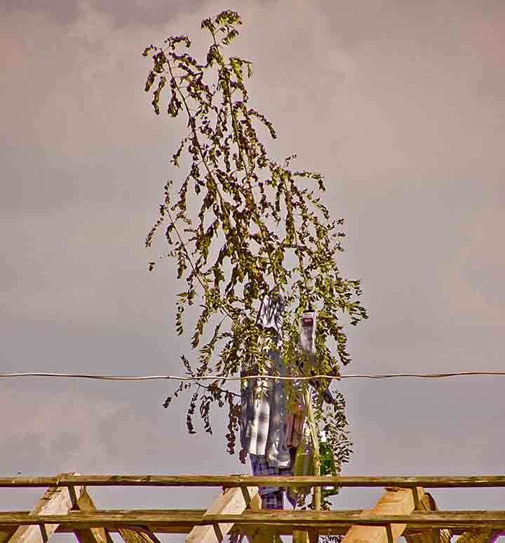 Kad je Lala najveći gazda ?