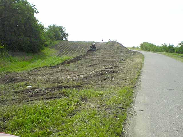 Krpljenje puta ka Bašajidu...