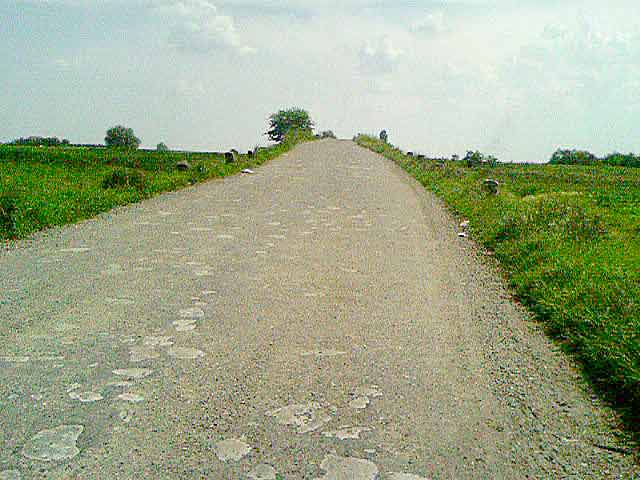 Bašajidcki DTD most...