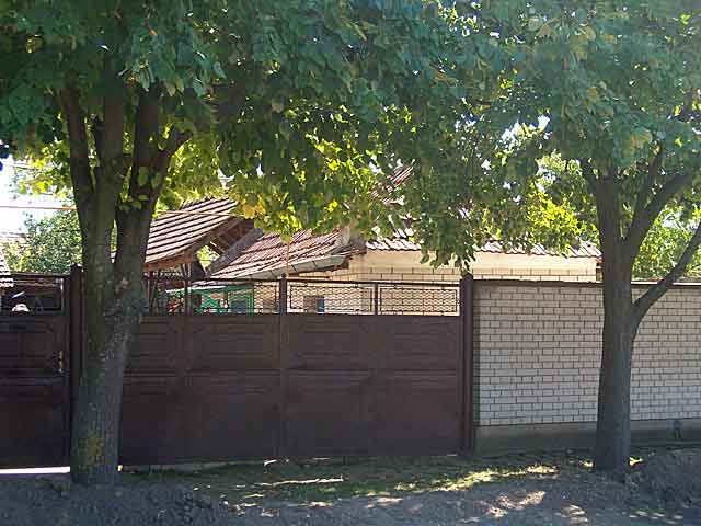 Berberski trendovi IV...