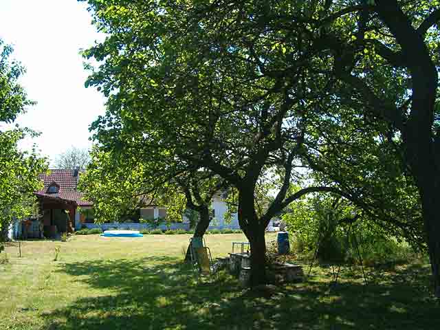 BKC likovna kolonija...