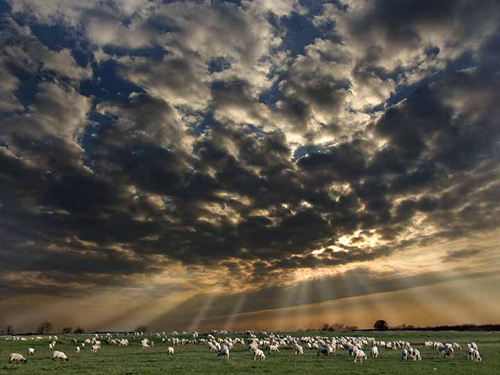 Ko to neMož da spava ?