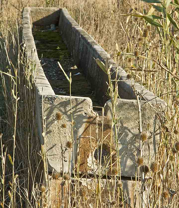 Artejski bunar na malu ledinu ...
