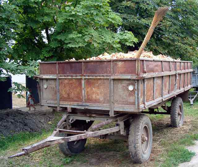 Čokanjice na prodaju...