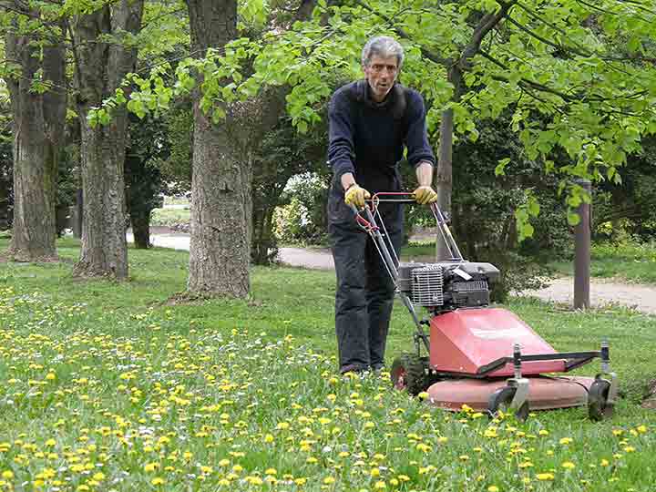 Kosidba NM Centralnog parka ...