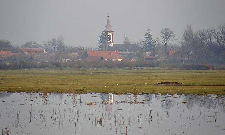 NM sveštenici III ...
