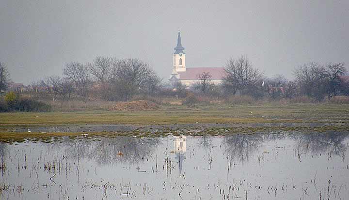 NM sveštenici I ...
