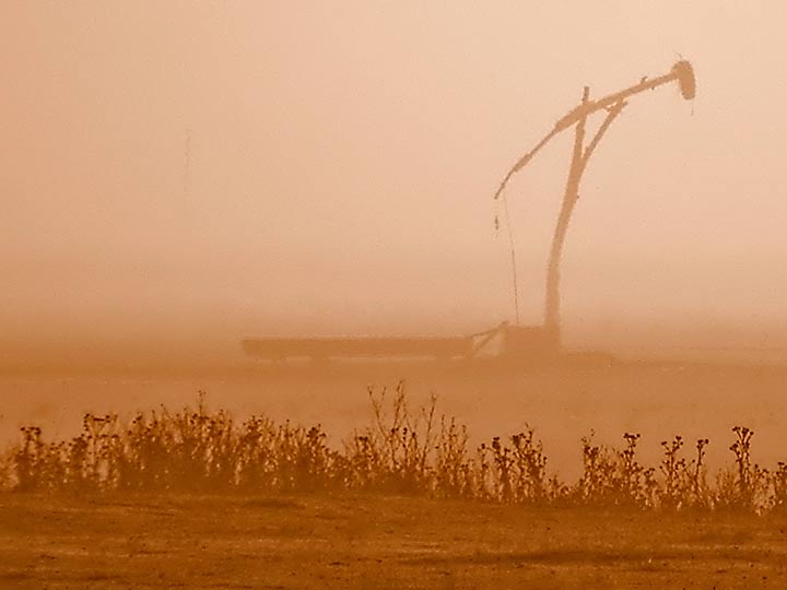 Rejakcije na đermove
