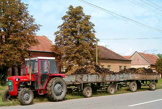 Kad se đubre vuklo...