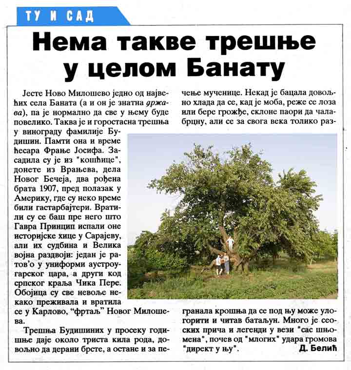 NaNovo smo izišli u Dnevnk !!!