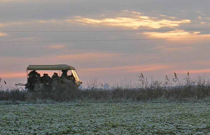 NM dresina ( drezina ) matorna...