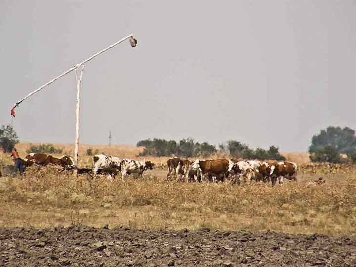 Nivo podzemni voda ...