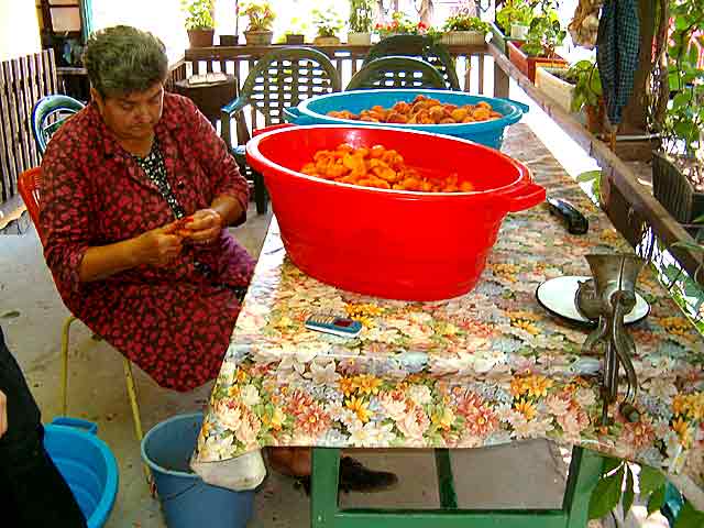 Zimnica od kajsije...