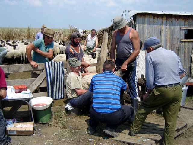 Mastna voda iz kopove...