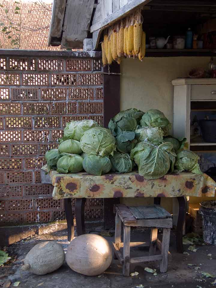 Evge, kupus, ludaje ...