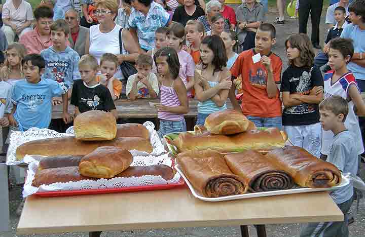 Gibanicijada 2008-me IV ...