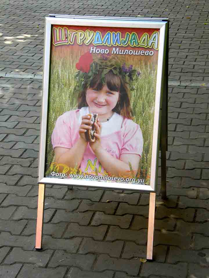 Press konfenderancija Gibanicijade