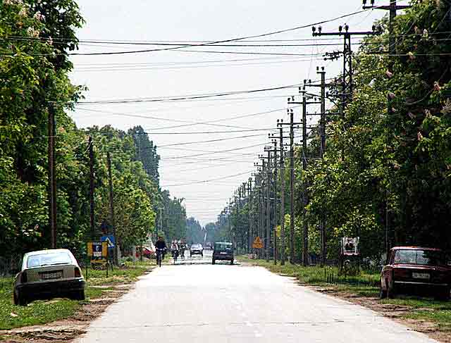 Zum serijal - Glavna beodranska...