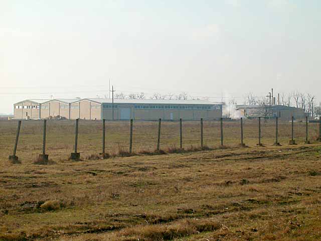 Od briketane do čarapane...