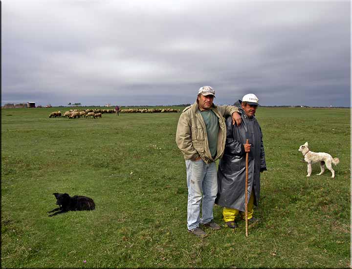 Baš ste stvarno ravni ...