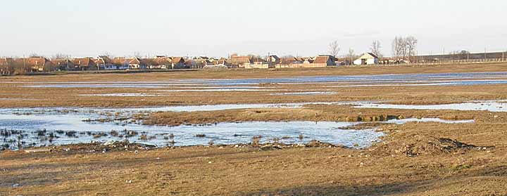 Karlovačke jamure I...